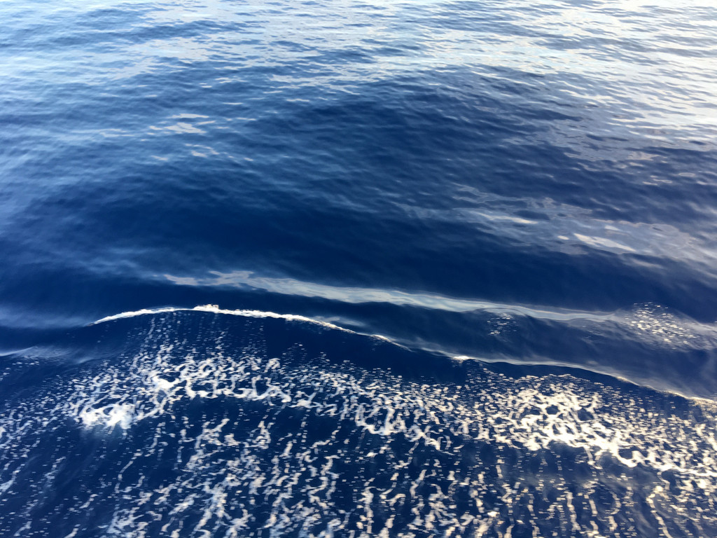 太平洋的海水是深蓝色的,生活在海边30多年的我,第一次真正体会到