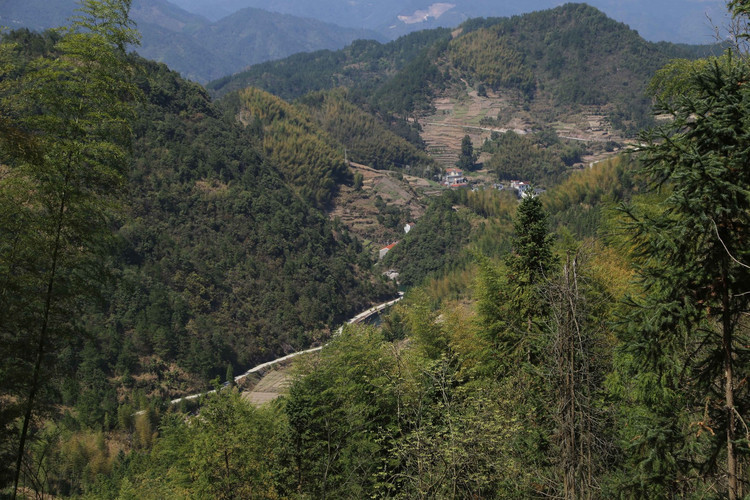 探秘"浙中川藏线",领略磐安山水生态宝地