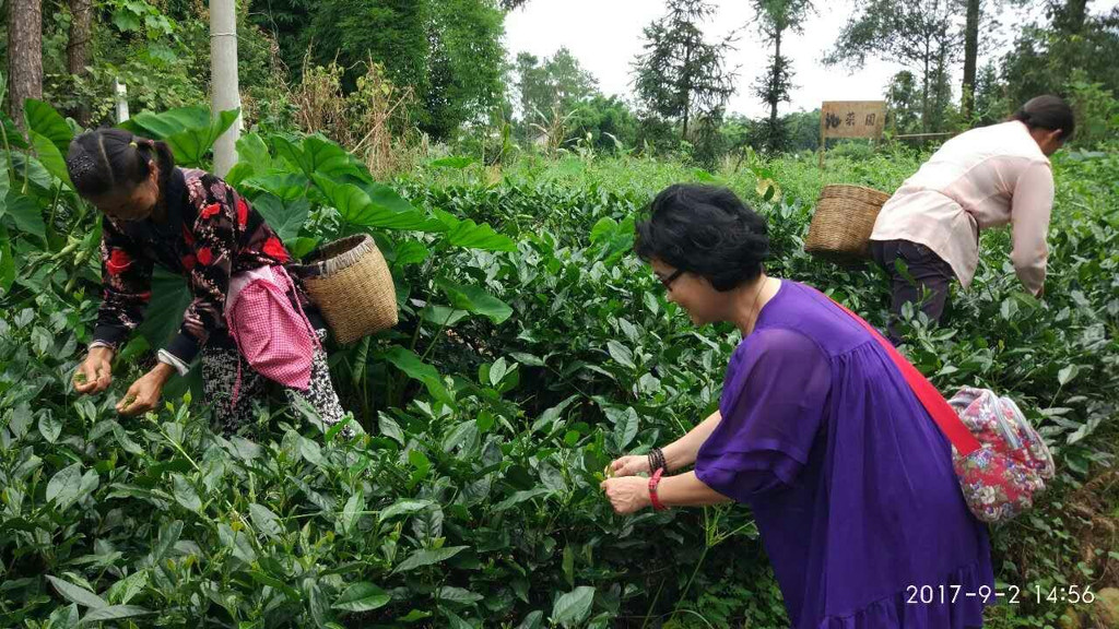 明月村-中国智慧旅游的平台