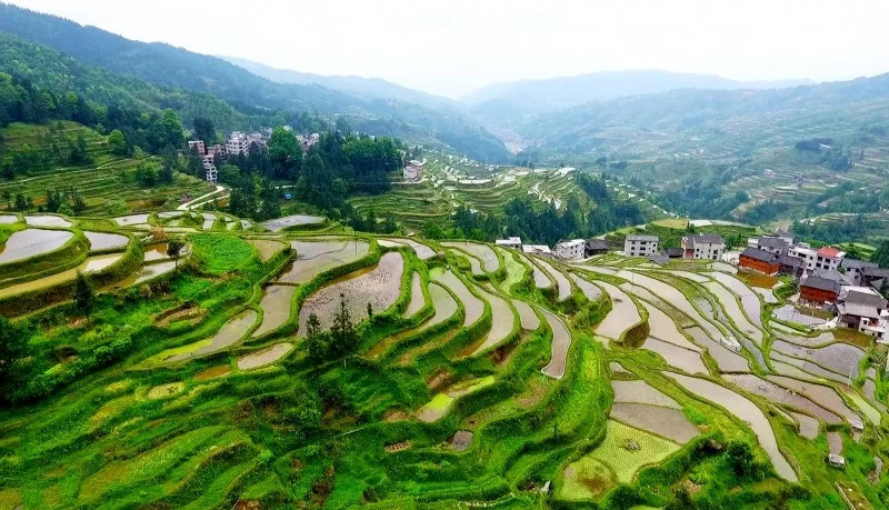 去堂安梯田,感受山地有一条中国最美徒步路——"八寨一山"的美景从