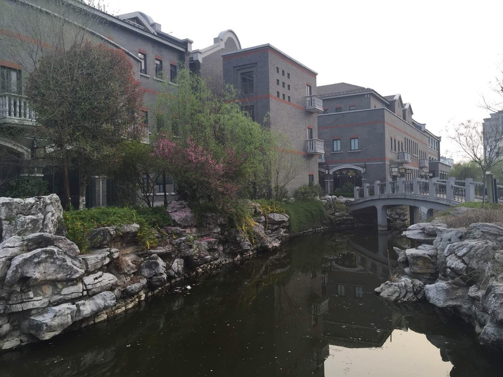无锡踏青赏花