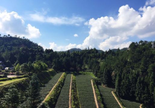 福建景区排名_福建土楼永定景区(2)