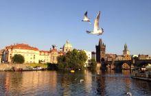 意大利商务签证过期,有捷克长期居留卡,可以在