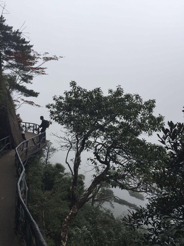 魂牵雾绕的三清山一日游20151004